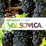 VAL.SO.VI.CA – SERATE DI DEGUSTAZIONE IN COLLABORAZIONE CON ONAV BRESCIA E AIS MILANO