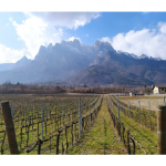 La zonazione vitivinicola in ambiente montano – Seminario online 27 maggio 2021 dalle 17 alle 18.