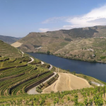 Report n.13 – La viticoltura eroica protagonista al VII Congresso Internazionale in Portogallo