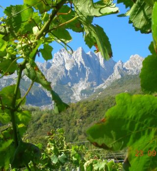 Cantina Flonno