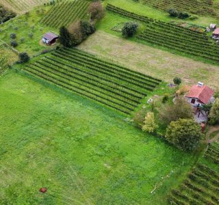 Azienda Vitivinicola Le Grotte