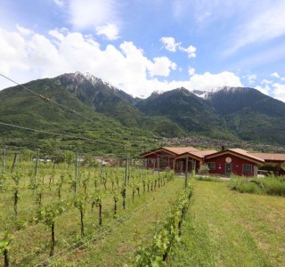 Rocche dei Vignali