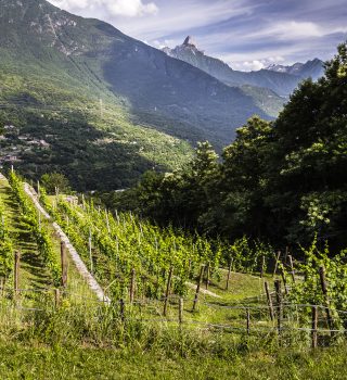 cascina carona