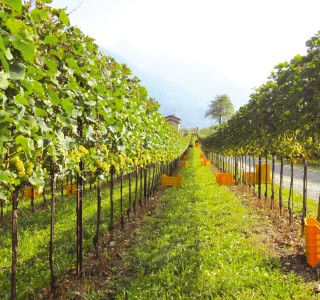 Cascina Casola