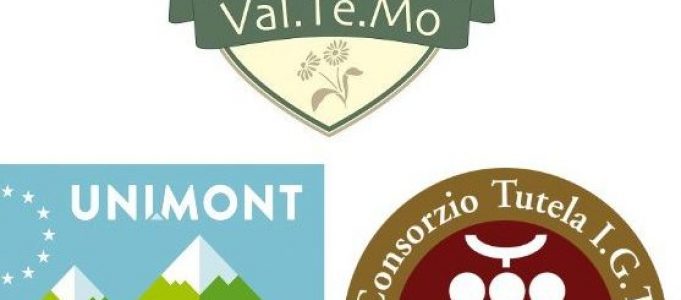 CORSO DI DEGUSTAZIONE VINI IGT