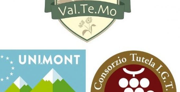 CORSO DI DEGUSTAZIONE VINI IGT