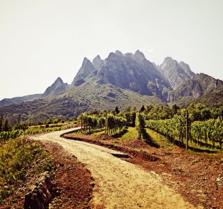 Cantina Monchieri